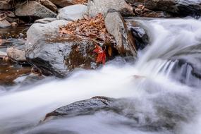 Autumn Nature Water