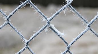 iron fence in frosting