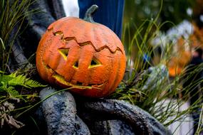 carved face on a ripe pumpkin