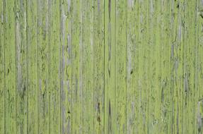 Wood Texture Background drawing
