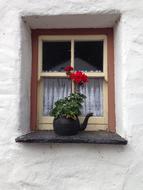 small window decorated with flowers