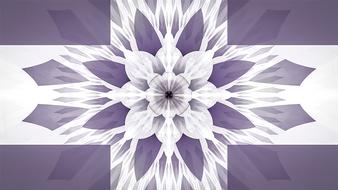 fractal floral pattern decorative drawing
