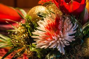 Christmas Fir Tree flowers