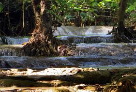 wild waterfall in the forest