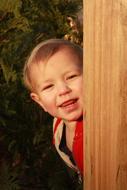 cute child boy looking from wooden door