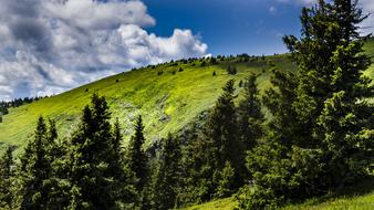 Nature Sky Trees Great