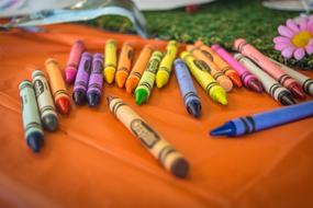 Close-up of the beautiful and colorful crayons, on the brown surface, near the beautiful and colorful flower and green grass
