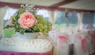 beautiful rose decorating the cake