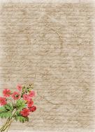 background scrapbooking paper text and flowers drawing