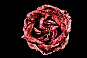 pattern design abstract background rose drawing