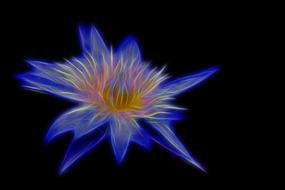 graphic image of a blue lily