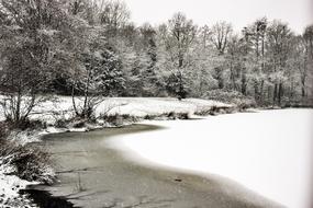 Winter Snow Nature