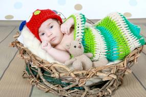 portrait of small Girl in basket with plush toy