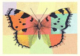 transparent butterfly at colorful dotted background, artwork