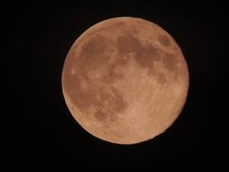 photo of brown moon on black sky