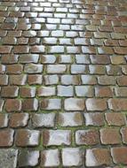 Pavement Cube pathWay