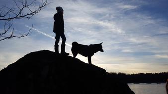 Girl Dog Backlight