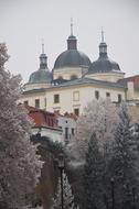 Winter Olomouc Frost