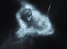 snake in the fog with a sharp end on its tail