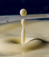 milk drops in a mug