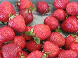 sweet strawberries in a bucket
