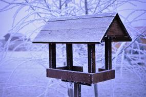 The Feeder Winter Snow