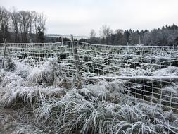 Winter Snow Nature