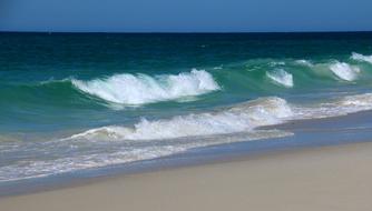 Blue Wave shore