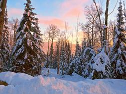 Winter Sunrise Snow