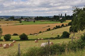 Country Grass Fields