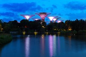 city park lights are reflected in the water