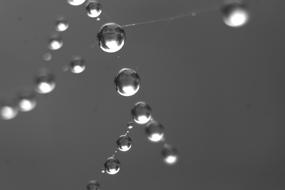 falling drops of water on a gray background