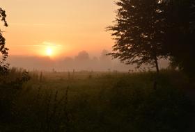 beautiful sunrise in the field
