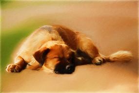 Drawing of the beautiful, colorful and cute lying dog