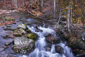 Autumn Nature Water