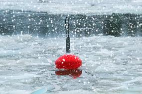 red buoy in the cold sea
