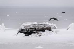 Water Lake Frozen