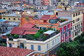 splendid Roofs Penthouse Building