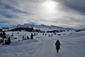 Alp Siusi Seiseralm Snow