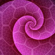 purple background with swirl and hexagonal pattern