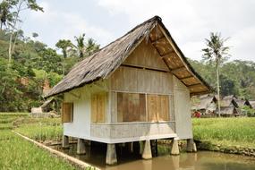 Village House on poles in water