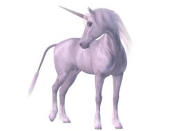 fabulous pink unicorn