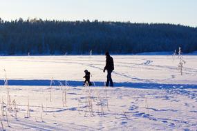 photo of a family walking along a winter field against a forest