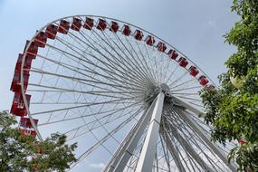 Ferris Wheel in Chicago park