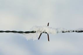 cold snow on the fence