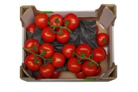 tomatoes in trusses box
