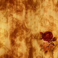background scrapbooking paper old rose