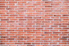 Brick red Wall Wallpaper