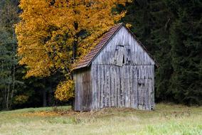 Hut Schopf Autumn