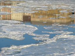 ice on the Danube river in hungary